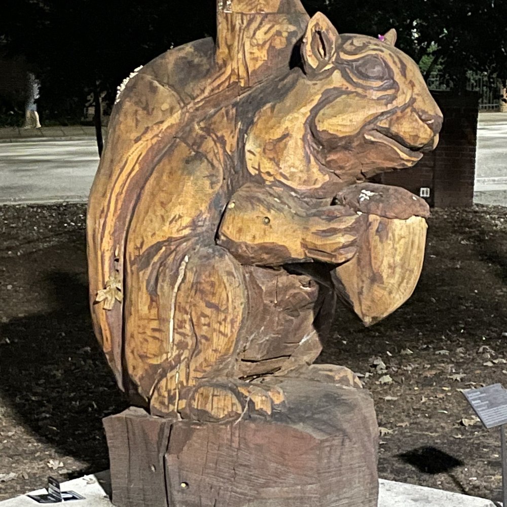 Nash Square - Big Squirrel with Big Nut - Parks Near Me - Raleigh, North Carolina Nash Square - Big Squirrel with Big Nut - Parks Near Me - Raleigh, North Carolina