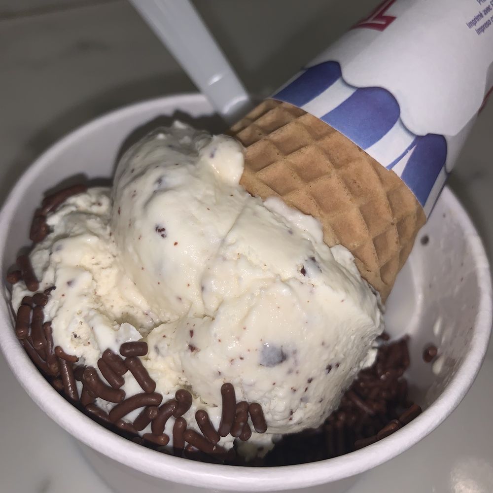 Mint chocolate chip Ice Cream