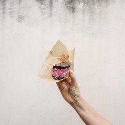Hapi Ora - Organic gluten free coconut & cherry slice