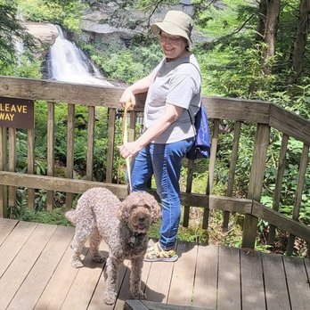 Happy Tails - A Happy Tails doggie and her owner. - Dog Walkers Near Me