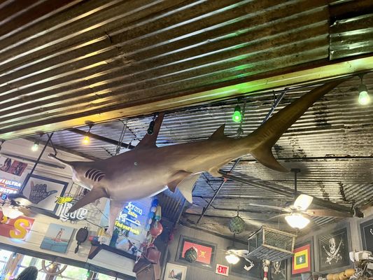 Joe's Crab Shack by null