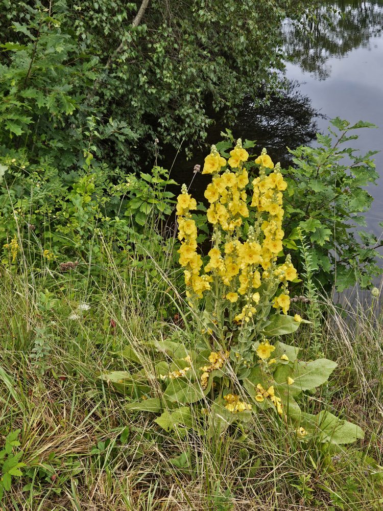 Marcia E Brubeck - grief counselor in West Hartford, CT