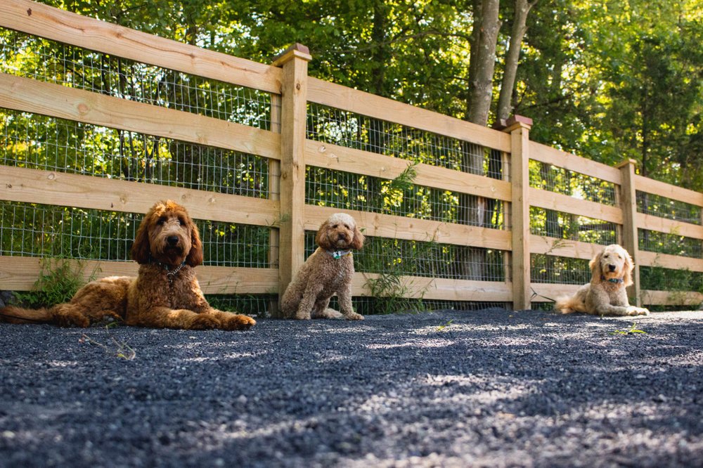 OPPORTUNITY BARKS BEHAVIOR & TRAINING Updated September 2024 26