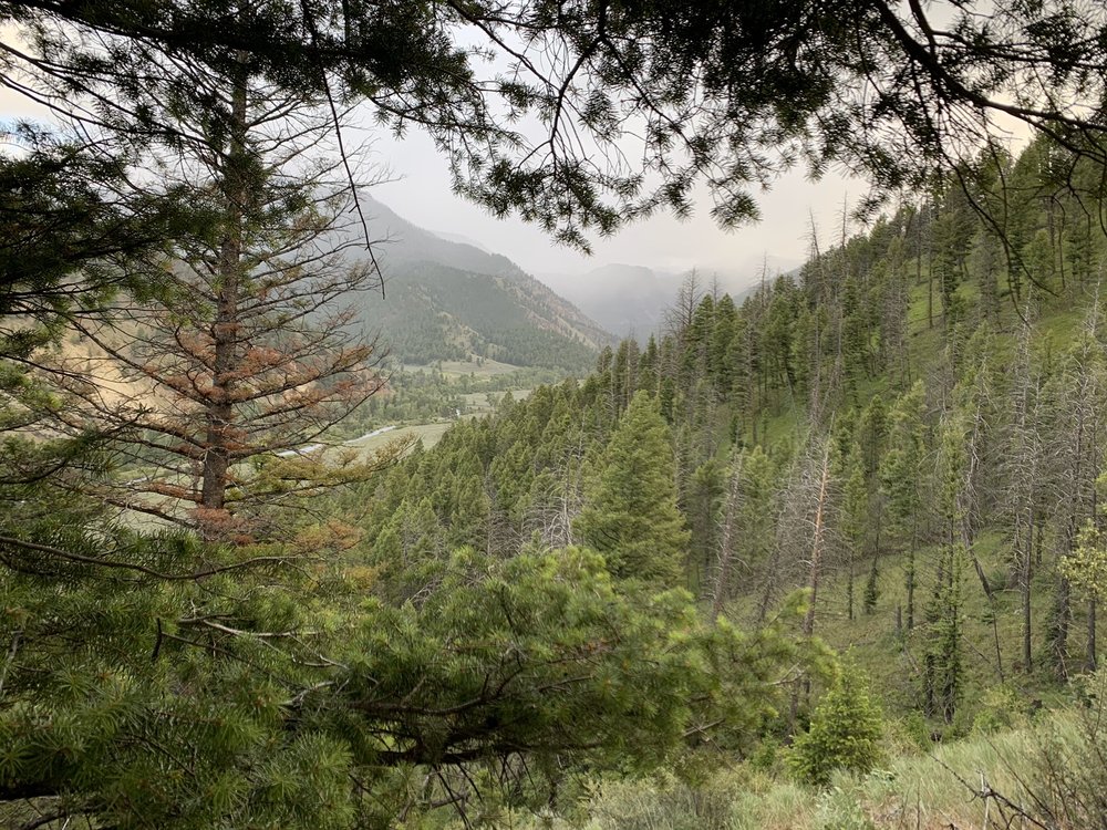 WILD IDAHO OUTFITTERS Challis, Idaho Wildlife Hunting Ranges