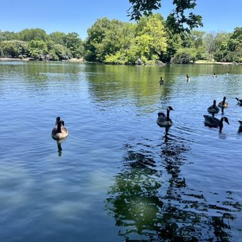 Centennial Park - Parks Near Me - Nashville, Tennessee Centennial Park - Parks Near Me - Nashville, Tennessee