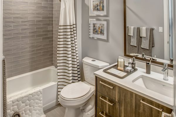 1213 Walnut Apartments by null