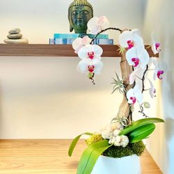 Cactus & Tropicals in Salt Lake City gift card