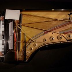 Brendan Nguyen Piano Studio B