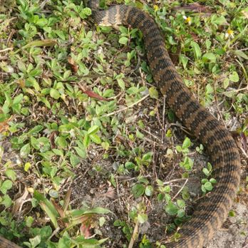 Trap N Go - Pest Control Near Me Trap N Go - Pest Control Near Me