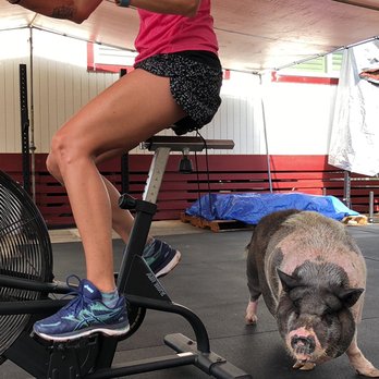 The DunXeon - Piko making sure our member keeps cycling - Circuit Training Gyms Near Me - Kaneohe, Hawaii