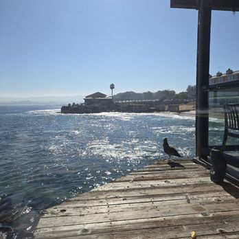 The Fish Hopper - Seafood Near Me - Monterey, California The Fish Hopper - Seafood Near Me - Monterey, California