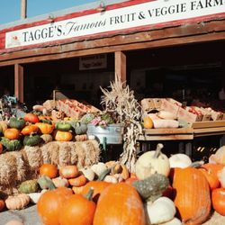 Tagge's Famous Fruit and Veggie Farm - Famous Fruits & Veggies