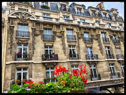 New Orient Hôtel by null