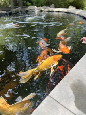 Idaho Botanical Garden by null