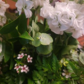 Royalty Flowers - Florists Near Me - Alexandria, Virginia