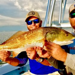 GoFishTampaBay - Big Redfish caught in shallow water with Capt. Neill of GoFishTampaBay.com