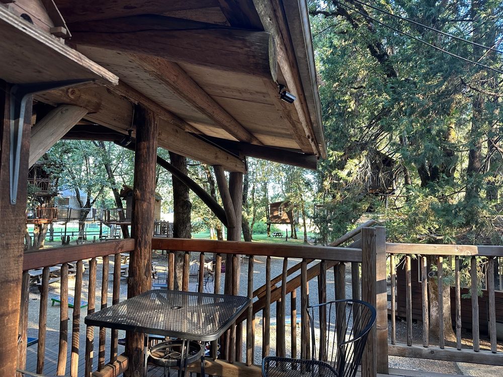 OUT’N’ABOUT TREEHOUSE TREESORT Updated August 2024 298 Photos & 82