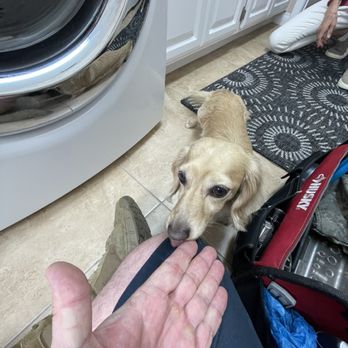 Supertechs Appliance Repair - My little helper today! - Appliances & Repair Near Me Supertechs Appliance Repair - My little helper today! - Appliances & Repair Near Me