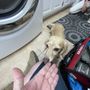 Photo of Supertechs Appliance Repair
