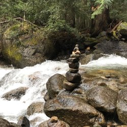 Old Growth Trail