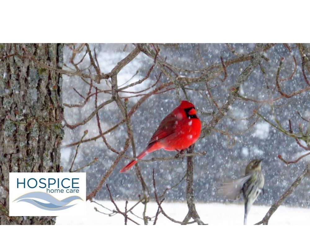 Hospice Home Care - grief counselor in Hot Springs, AR