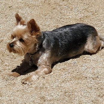 Animal Oasis - Pet Groomers Near Me - Reno, Nevada Animal Oasis - Pet Groomers Near Me - Reno, Nevada