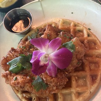 YOLO - Korean Fried Chicken & Waffle - New American Near Me - Fort Lauderdale, Florida YOLO - Korean Fried Chicken & Waffle - New American Near Me - Fort Lauderdale, Florida