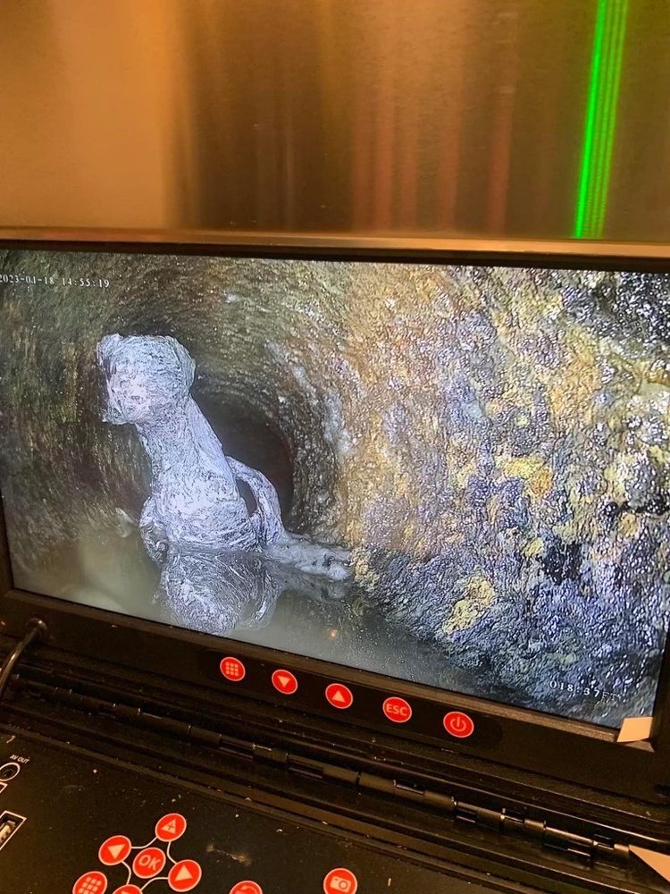 Slide of ASAP Sewer & Drain Cleaning | Neenah