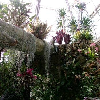 United States Botanic Garden - Botanical Gardens Near Me - Washington, DC, District of Columbia United States Botanic Garden - Botanical Gardens Near Me - Washington, DC, District of Columbia