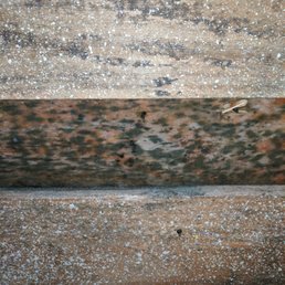 Mold Mold