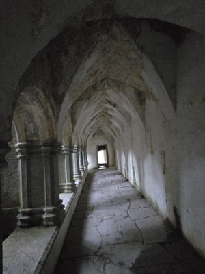 Muckross Abbey by null