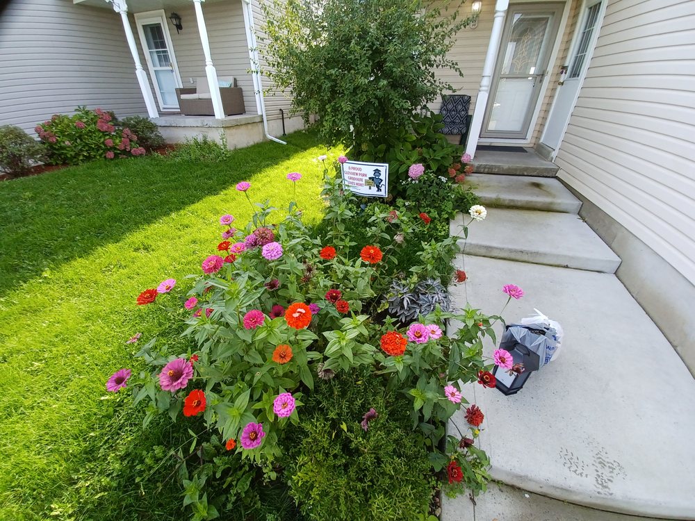 LAWN CARE BASICS Updated September 2024 Brantford, Ontario Lawn