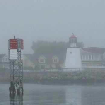 Jolly Breeze - Whale Watching Tours Near Me - Saint Andrews, New Brunswick