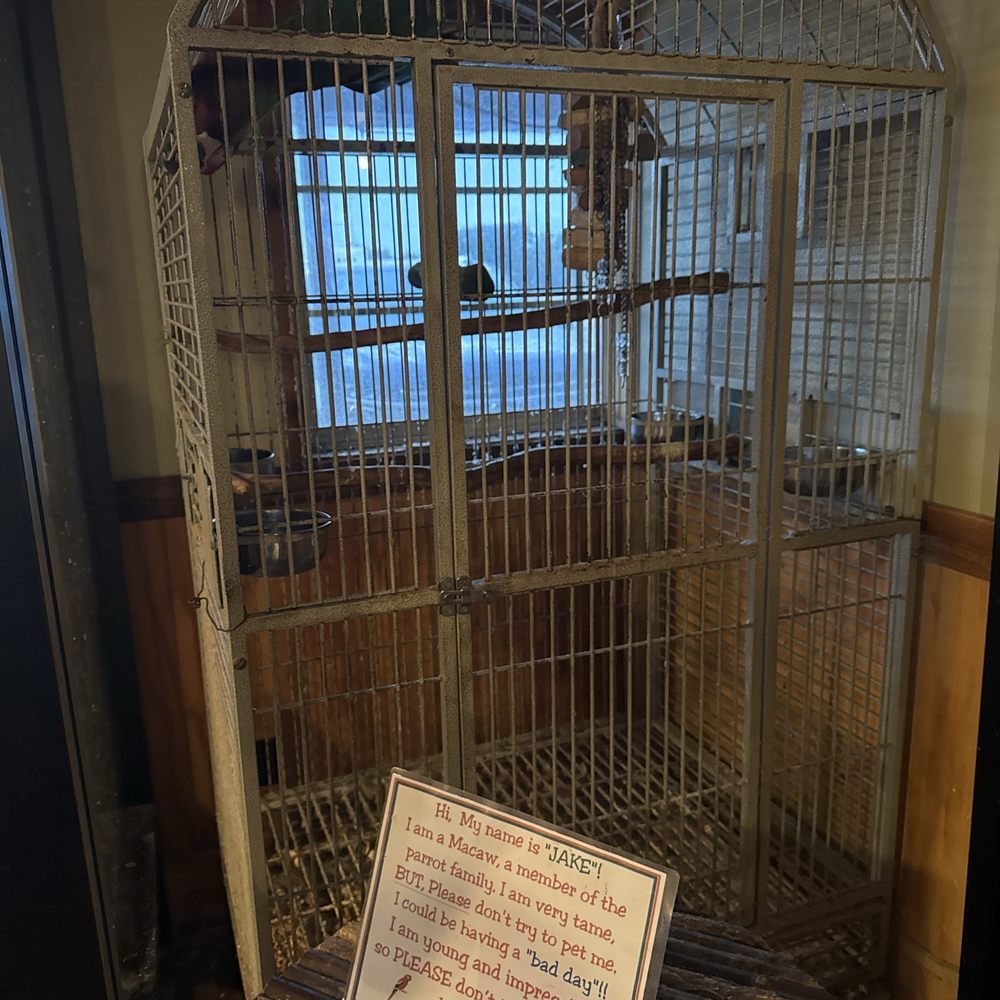 Honey Creek BBQ - Jake the Macaw - American Near Me - Grove, Oklahoma