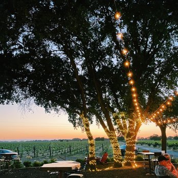 Heringer Estates - Wineries Near Me - Clarksburg, California
