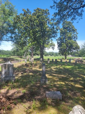 Gillham - This job was a cemetery that is located in Annona Texas. It had on dead oak and another oak that was leaning towards tombstones and eight magnolia trees that needed to be trimmed, and bushes removed.