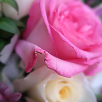 Flowergarden118 - Florists Near Me - Denton, Texas