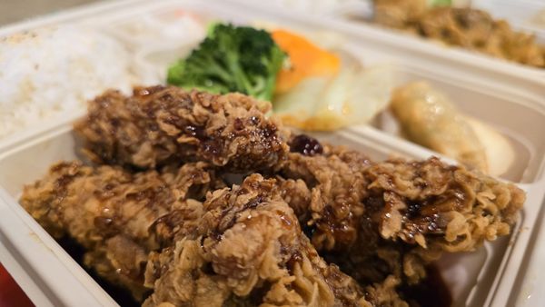 Tokyo Chick by null