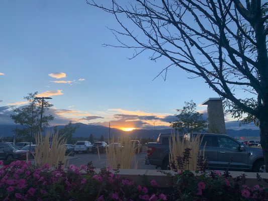 Salsa Brava Fresh Mexican Grill by null