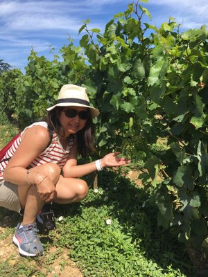 Château de Chassagne-Montrachet by null