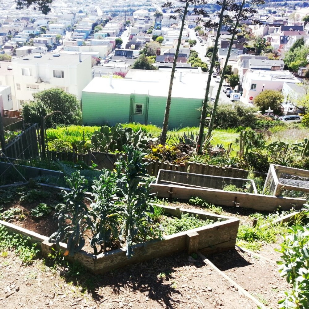 THE BEST 10 COMMUNITY GARDENS near BAYVIEW-HUNTERS POINT, SAN FRANCISCO, CA  - Updated 2025 - Hours - Yelp