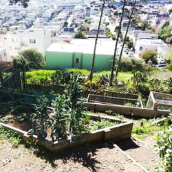 Bernal Heights Community Garden - Way cool place! :p
