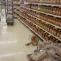 Photo of Food Lion