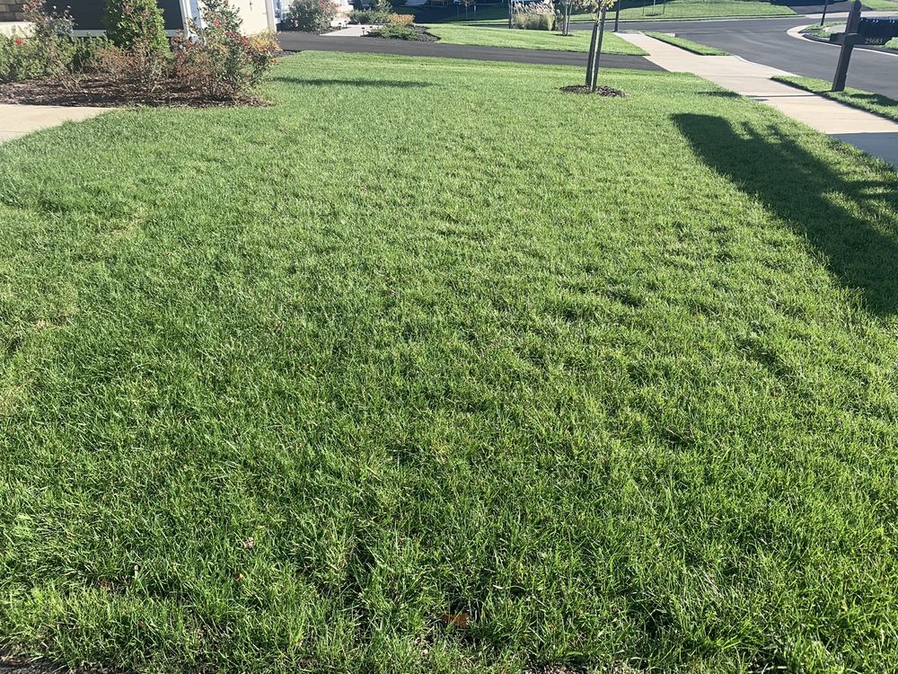 Slide of Imperial Irrigation & Lighting