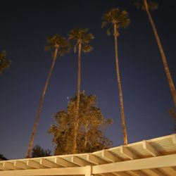 Mission Palms Apartments
