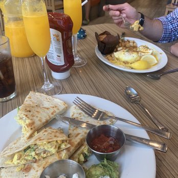 Wild Eggs - Quesadilla and Bennie. Food was great, mimosas were even better! - Breakfast & Brunch Near Me - Cincinnati, Ohio Wild Eggs - Quesadilla and Bennie. Food was great, mimosas were even better! - Breakfast & Brunch Near Me - Cincinnati, Ohio
