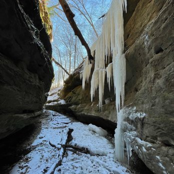 Turkey Run State Park - Bear Hollow (trail 5) - Parks Near Me - Marshall, Indiana Turkey Run State Park - Bear Hollow (trail 5) - Parks Near Me - Marshall, Indiana