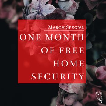 WISE Security Solutions - All new customers receive one month of free home security upon signing up for any sponsored home security plan. - Security Systems Near Me - Draper, Utah WISE Security Solutions - All new customers receive one month of free home security upon signing up for any sponsored home security plan. - Security Systems Near Me - Draper, Utah