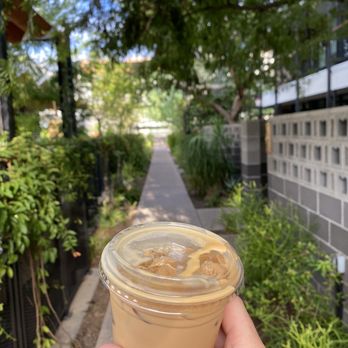 Rise Uptown Hotel - Coffee shop right next door! Love how lush the property is. - Hotels Near Me - Phoenix, Arizona Rise Uptown Hotel - Coffee shop right next door! Love how lush the property is. - Hotels Near Me - Phoenix, Arizona