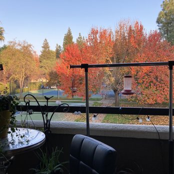 Adagio - Fall colors on mature trees - Apartments Near Me Adagio - Fall colors on mature trees - Apartments Near Me